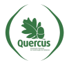 Retrato de quercusaveiro